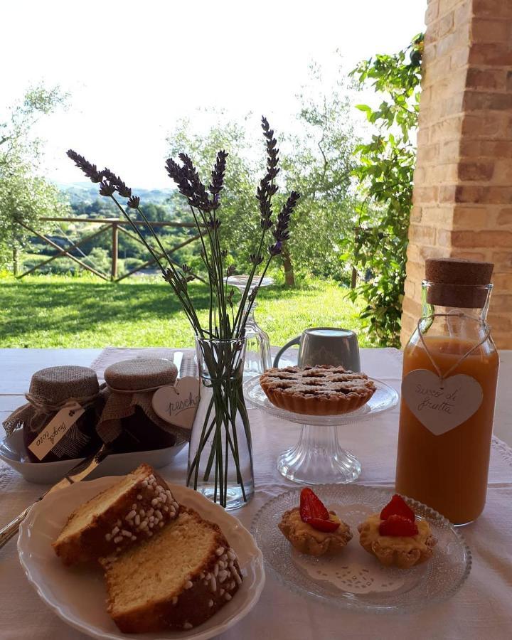 B&B L'Usignolo Асколи-Пичено Экстерьер фото
