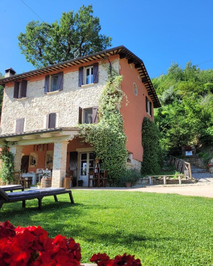 B&B L'Usignolo Асколи-Пичено Экстерьер фото