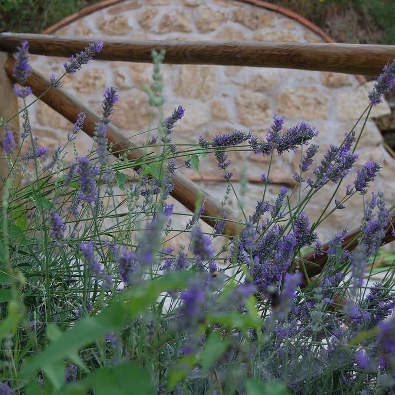 B&B L'Usignolo Асколи-Пичено Экстерьер фото