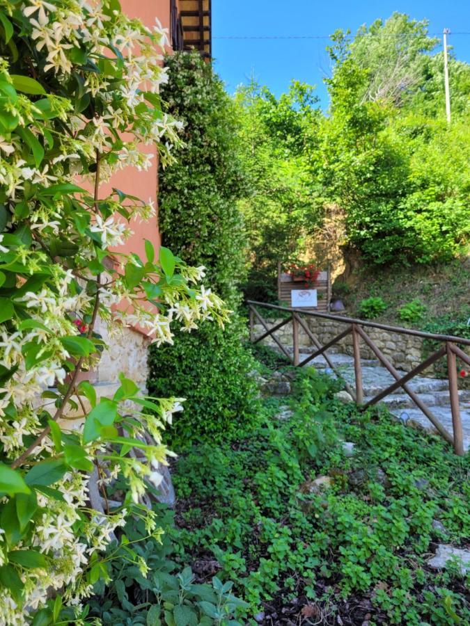 B&B L'Usignolo Асколи-Пичено Экстерьер фото
